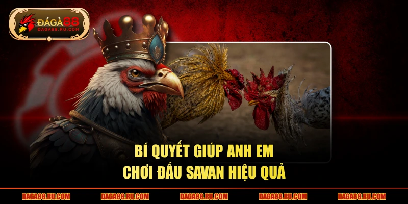 Bí quyết giúp anh em chơi đấu savan hiệu quả