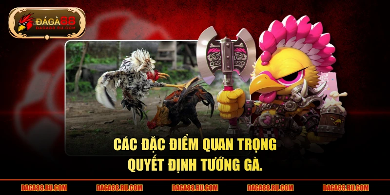 Các đặc điểm quan trọng quyết định tướng gà.