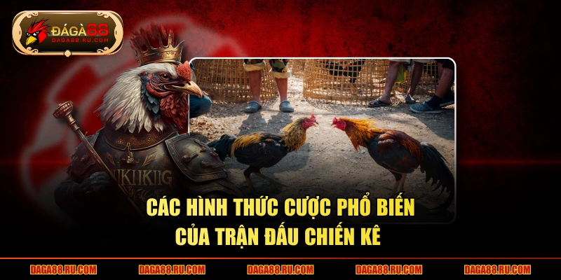 Các hình thức cược phổ biến của trận đấu chiến kê