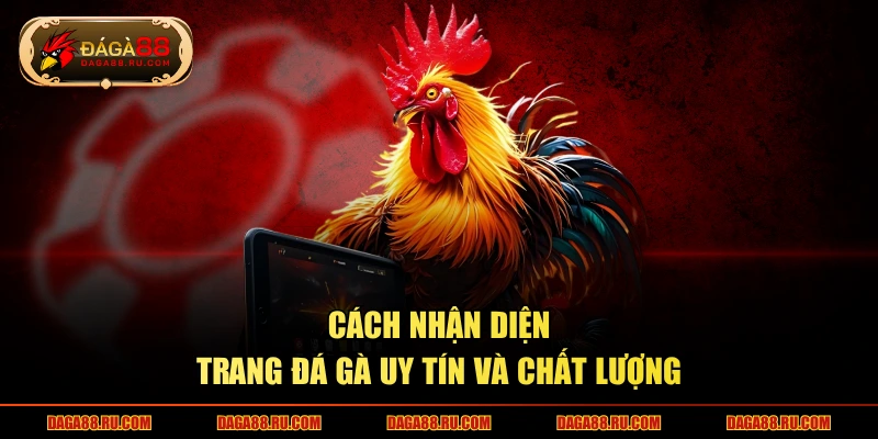 Cách nhận diện trang đá gà uy tín và chất lượng