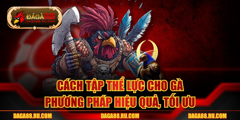 Cách Tập Thể Lực Cho Gà