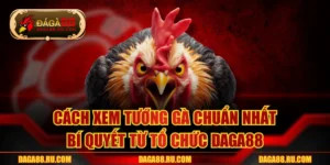 Cách Xem Tướng Gà