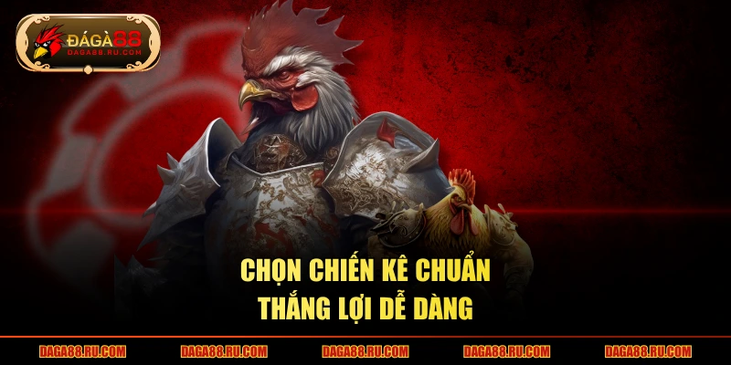 Chọn chiến kê chuẩn, thắng lợi dễ dàng