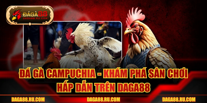 Đá Gà Campuchia