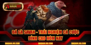 Đá Gà Savan