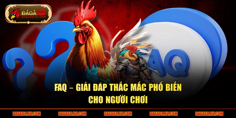 FAQ – Giải đáp thắc mắc phổ biến cho người chơi