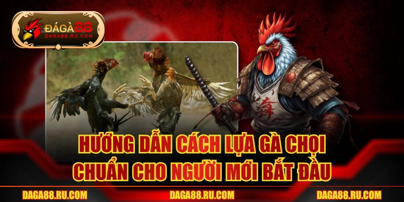 Cách Lựa Gà Chọi