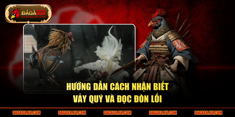 Hướng dẫn cách nhận biết vảy quý và đọc đòn lối