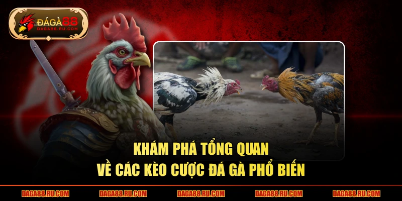 Khám phá tổng quan về các kèo cược đá gà phổ biến