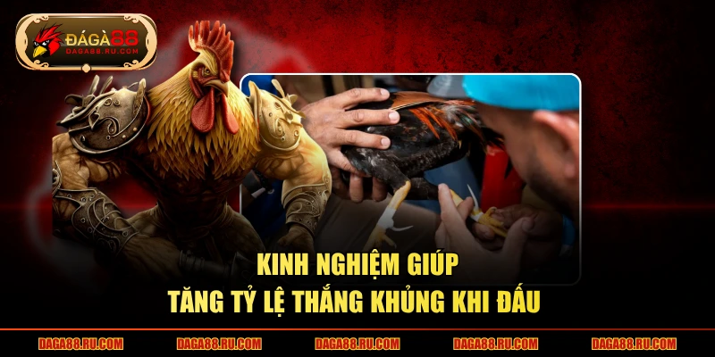 Kinh nghiệm giúp tăng tỷ lệ thắng khủng khi đấu 