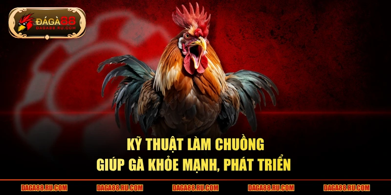 Kỹ thuật làm chuồng giúp gà khỏe mạnh, phát triển 