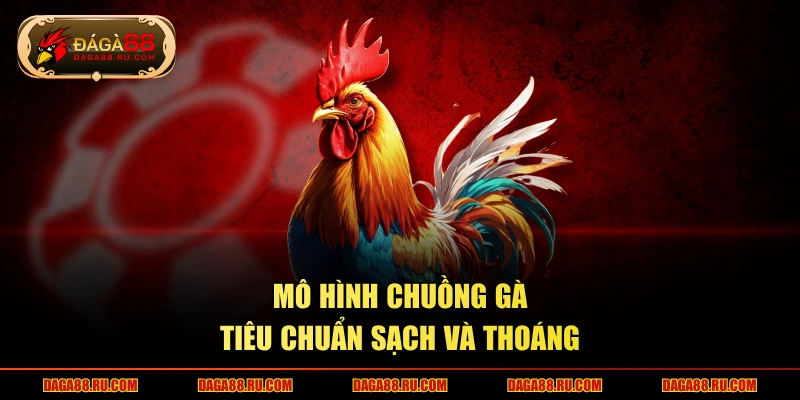 Mô hình chuồng gà tiêu chuẩn sạch và thoáng