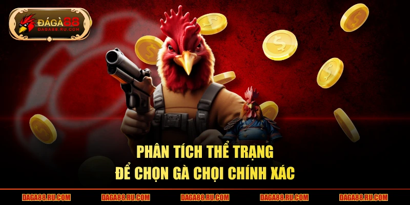 Phân tích thể trạng để chọn gà chọi chính xác