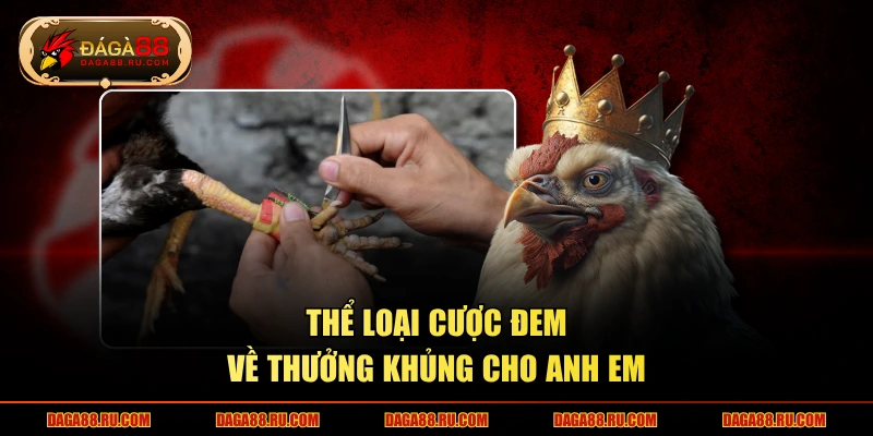 Thể loại cược đem về thưởng khủng cho anh em