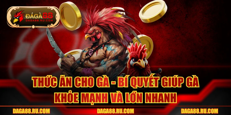 Thức Ăn Cho Gà