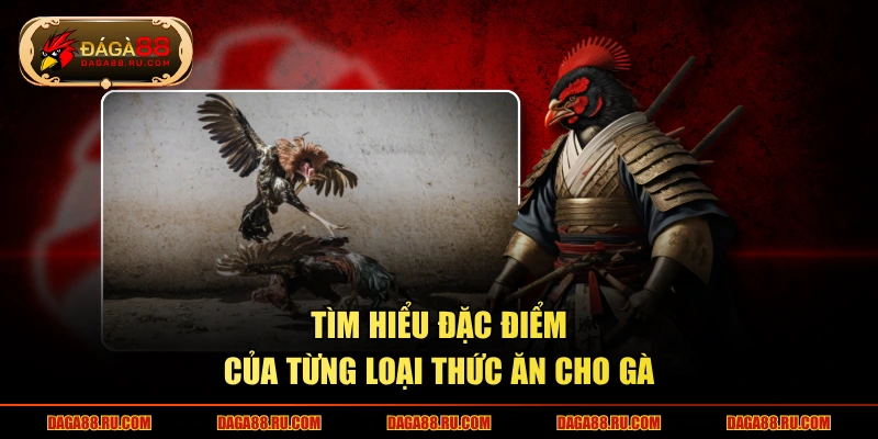 Tìm hiểu đặc điểm của từng loại thức ăn cho gà