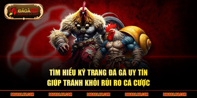 Tìm hiểu kỹ trang đá gà uy tín giúp tránh khỏi rủi ro cá cược