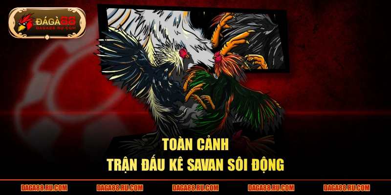 Toàn cảnh trận đấu kê savan sôi động