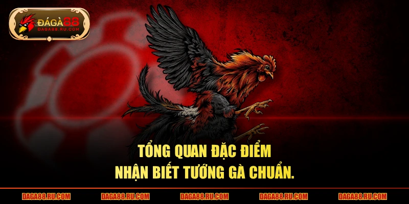 Tổng quan đặc điểm nhận biết tướng gà chuẩn.