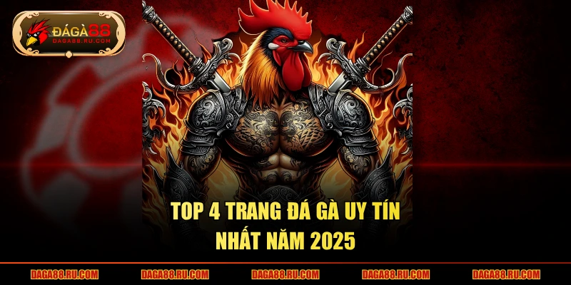 TOP 4 trang đá gà uy tín nhất năm 2025