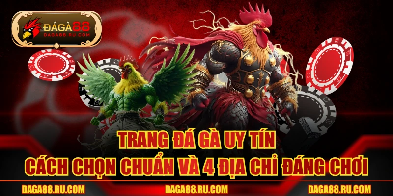 Trang Đá Gà Uy Tín